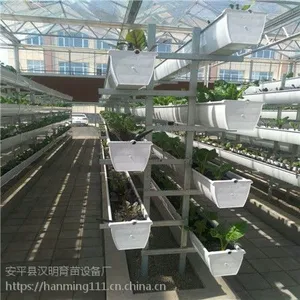 立体种植 采用立体式草莓栽培的优越性
