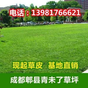 成都芳草芊芊园林绿化工程有限公司