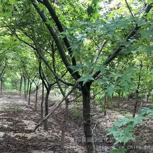 �ձ�������� �ձ����С��۸� 2����3����4����