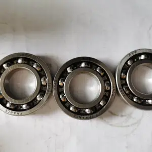 SKF***16004