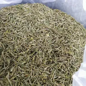 黄山地区***茶叶经营者现从事菊花生产销售诚招合作伙伴