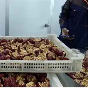 隧道式五谷熟化巴沙轻木板烘干设备茶叶杀青干燥剂猫砂微波烘干机