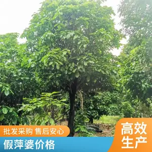 ��Ƽ�Ź����ȫ�㶫�����л��ز��ؼ۸����۸���˳ɻ�***��Ƽ��