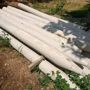 ΰ���������ӵ̲���׮ ����͸�ʴ�ӵ���������׮