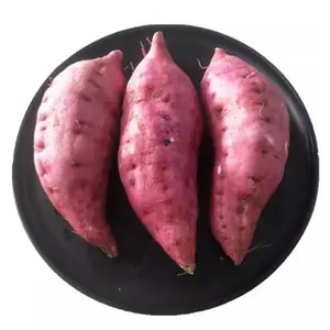咸阳蔬菜配送公司,咸阳工厂蔬菜配送有哪些,新鲜食材