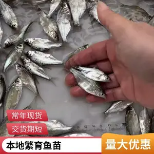 ���� ����������� �ۺ���ָ�� ��ˮ����ֳ ��ҵ�������� ��ˮ��