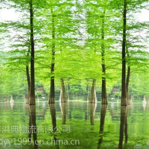 ����10���ֳ�ɼ��Ʒ�۸� 12���ֳ�ɼ�۸�һ����