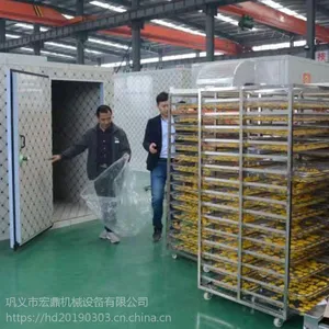 厂家直销 HGJ-06CH箱式烘干房烘干箱 宏鼎实力厂家