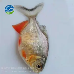���۵�ˮ���������� ¦������ˮ�ּ��������������� ����������