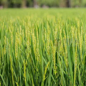 临沂鹏昊环保节能设备有限公司