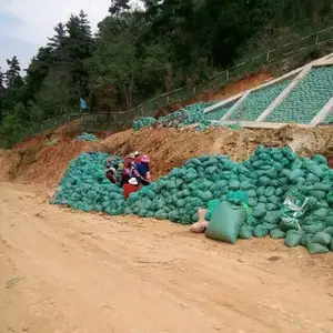 ��̬�����̴� 80���ֳ� �ӵ̷�����ɫ���� ��ά��ֲ����