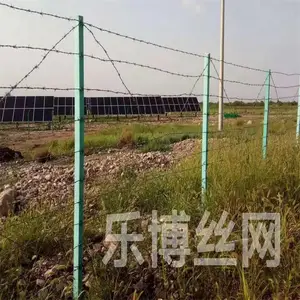�Ϻ��ֻ����ܴ������һ��ֲ���ִ�����˿��¬�岻�����˿��