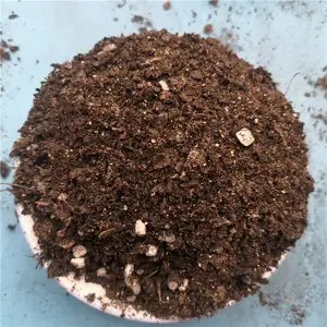���� �Ϲ��߲����� ��ֲ���л�Ӫ���� Ӫ���� ��ˮ����