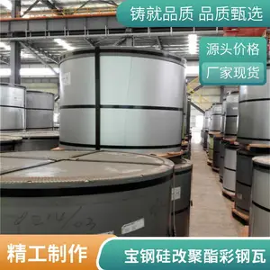 宝钢镀铝锌(AZ)硅改聚酯(SMP)120克房顶做彩钢瓦