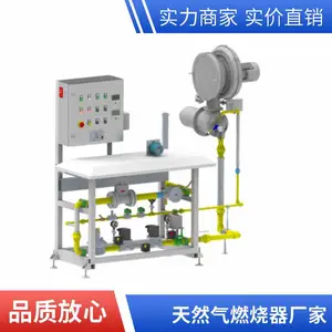 钢厂竖式炉退火炉多烧嘴 天然气燃烧器 高炉煤气燃烧器 岱鼎