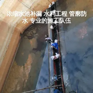 游泳池堵漏-伸缩缝堵漏-交接缝堵漏-自来水厂水池变形缝堵漏
