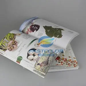 画册印刷定制 广告宣传册印刷产品说明书定做 企业宣传册印刷制作