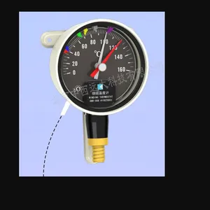  �����¶ȼ� �ͺ� BR06-BWR-906HX��� M407222