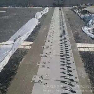 桥梁减震梳齿板伸缩缝装置 60型80型160型 型号全 可定制