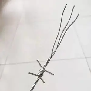 �ȶ�п���� ������������� Χǽ������˿
