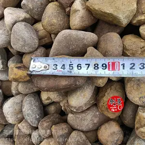 5-8cmװ�ζ���ʯ�۸�-ˮ��������ʯ���-԰����·װ���껨ʯ