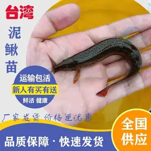 ��������ֳ���� �����繩Ӧ �㶫������ �󹺸�Ч��������