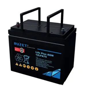 RUZET法国路盛蓄电池12V75AH 路盛12LPA75 原装铅酸免维护蓄电池