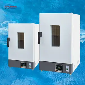 DGG-9070BD可编程电热干燥箱 400*400*450 300℃电热恒温干燥箱