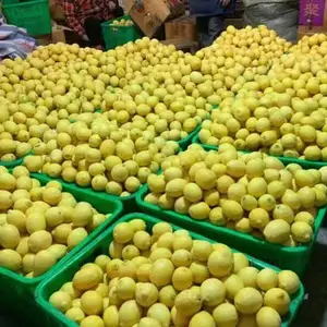 �� ��ˮ���� Ӧˮ���� ���г����;Ƶ� ʳ�� ��λ��������