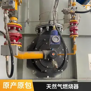 岱鼎燃气转炉煤气工业窑炉加热炉燃烧系统燃烧机焚烧生产厂家