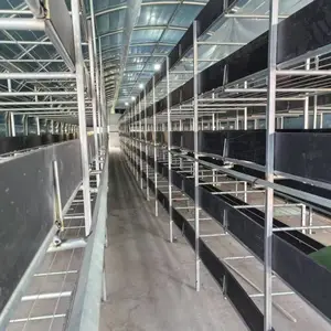 新型大棚养殖种植挡板隔层板 防水防腐不霉烂可定尺