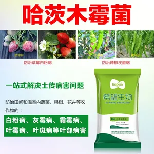 希望生物哈茨木霉菌抑制土传病害改良土壤烂根叶部型白粉病灰霉病
