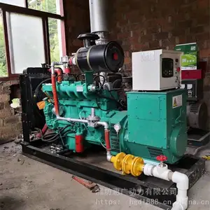 60KW鸭粪沼气发电机组 养鸭场用沼气脱硫罐 干法脱硫设备