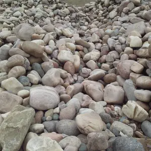 彩色鹅卵石厂家 庭院建筑 公园假山 路面铺设鹅卵石规格齐全 荣茂