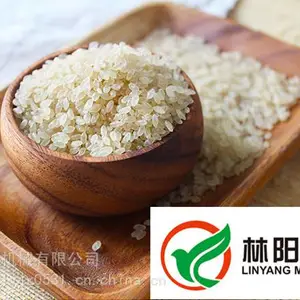 速食营养米生产线，速食营养米加工设备，速食营养米生产设备