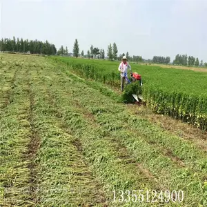 �ַ��ոѸ�ɹ�� �����Ƽ�ʽ��ɻ� ҩ��ר���ո��