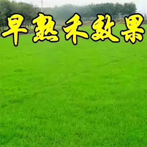 �����󶬲�-�����¼�-�󶬲��ͻ�����