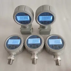 智能数字压力表0.05级差压/表压液体气体数显表可计量检定赛斯顿