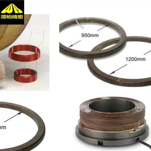 �¹�KARASCH�����Ȧ��karasch��ŷ��Ե�ų���Χ�����и�Ӧ����