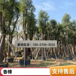 ������ ͥԺ�羰�� �����̻���ľ �е����ļ�����