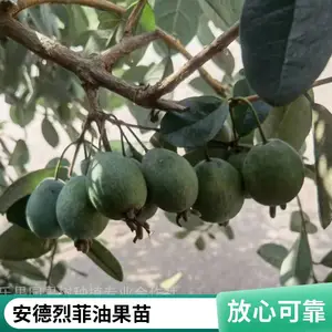 ���س��۷��͹��� ������ ͥԺ������ֲ������԰���̻��쾰������