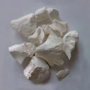 销售骨碳 骨炭