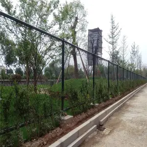 ������Χ�� С�������� ��˿���ο׹�����