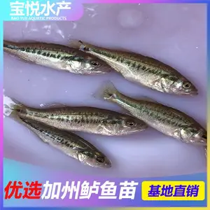 ����֣�ݳɻ�***��������������� ���ޱ�ʯ�����������ɹ�