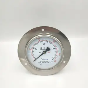 工业级不锈钢轴向带边压力表盘装式法兰边设备配套仪表Y-100BZT