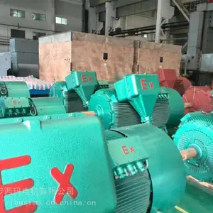 �������ͺ�YB2-5001-6/560KW��ѹ������ޣ������SKF��У�