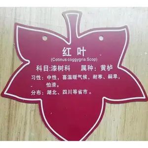 ���ݻ���˫ɫ���̻������PVC�����ABS������л������ǿ�������
