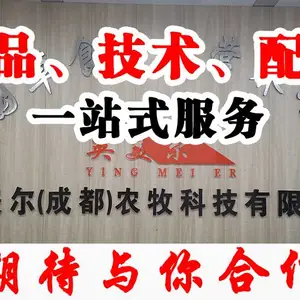 ũ��ɢ�������ֳ���� �����ϳ���ֱ�� Ӣ��������