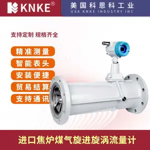 进口焦炉煤气旋进漩涡流量计 美国KNKE科恩科品牌