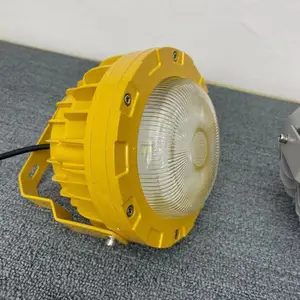 ��ΪSEVAZM��úƤ������ LED������BAD-100W ����¥������